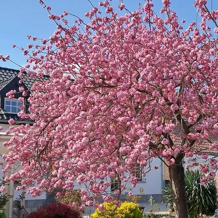 Bed & Breakfast Le Monciat 3*